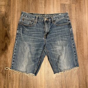 American Eagle Men’s Jorts